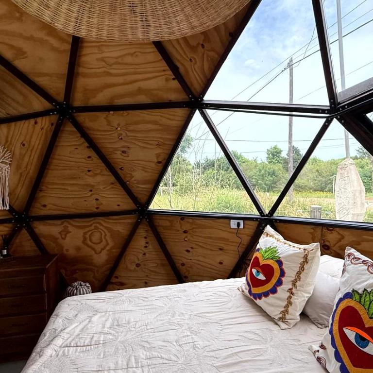 Domo Buda - Experiencia Glamping en Mar de Ajó - Cabaña con vistas al jardín - 22