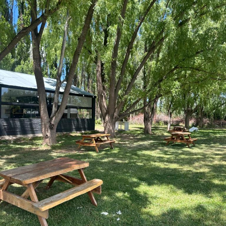 Los Cardos Lodge & Glamping - Habitación cuádruple - 2