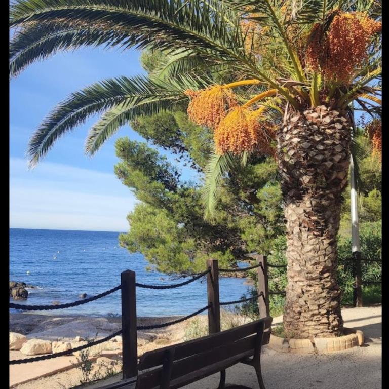 Les Perles Marines - Appartement 2 Chambres - 3