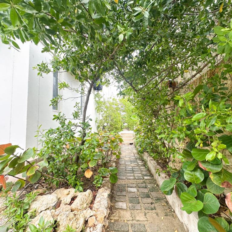 Villa in Sabanilla near the Sea - Villa - 76