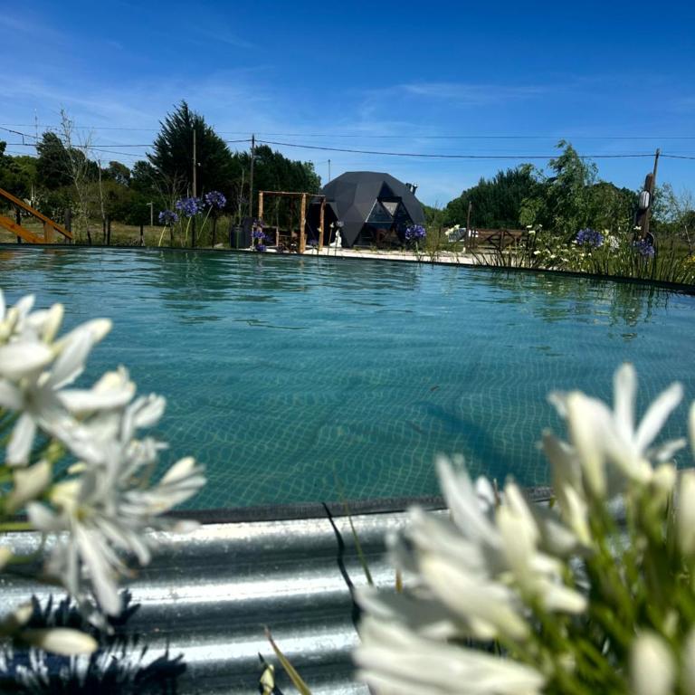 Domo Buda - Experiencia Glamping en Mar de Ajó - Cabaña con vistas al jardín - 5