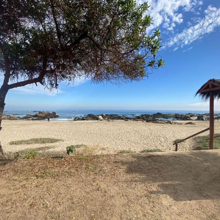Ocean View Beach House in Maitencillo - Villa - 55