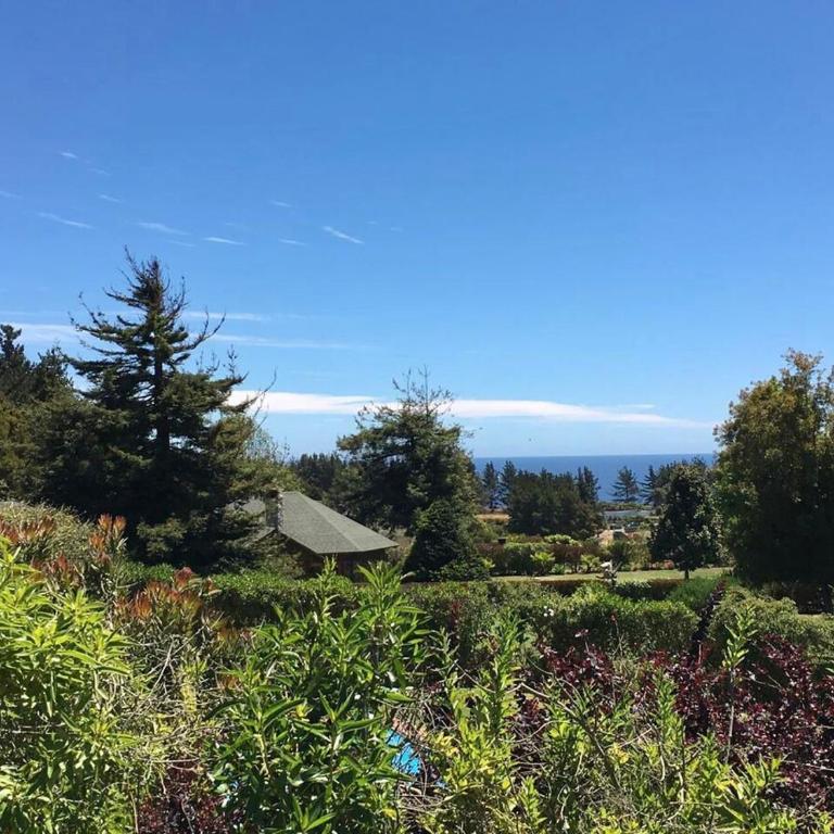 Ocean View Beach House in Maitencillo - Villa - 60