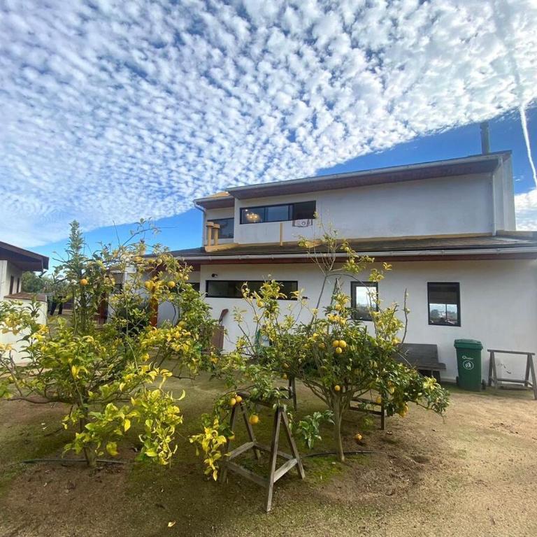 Ocean View Beach House in Maitencillo - Villa - 61