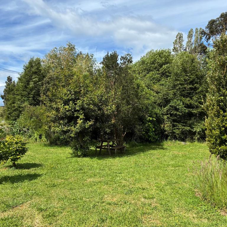 Cabañas Lago Ranco - Four-Bedroom House - 16