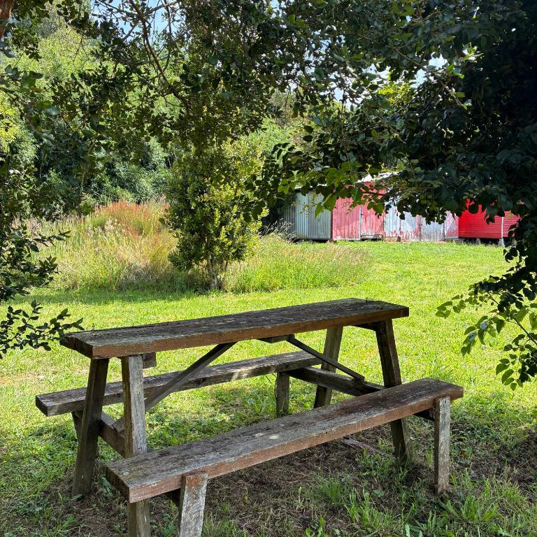 Cabañas Lago Ranco - Four-Bedroom House - 18