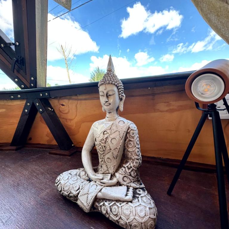 Domo Buda - Experiencia Glamping en Mar de Ajó - Cabaña con vistas al jardín - 37