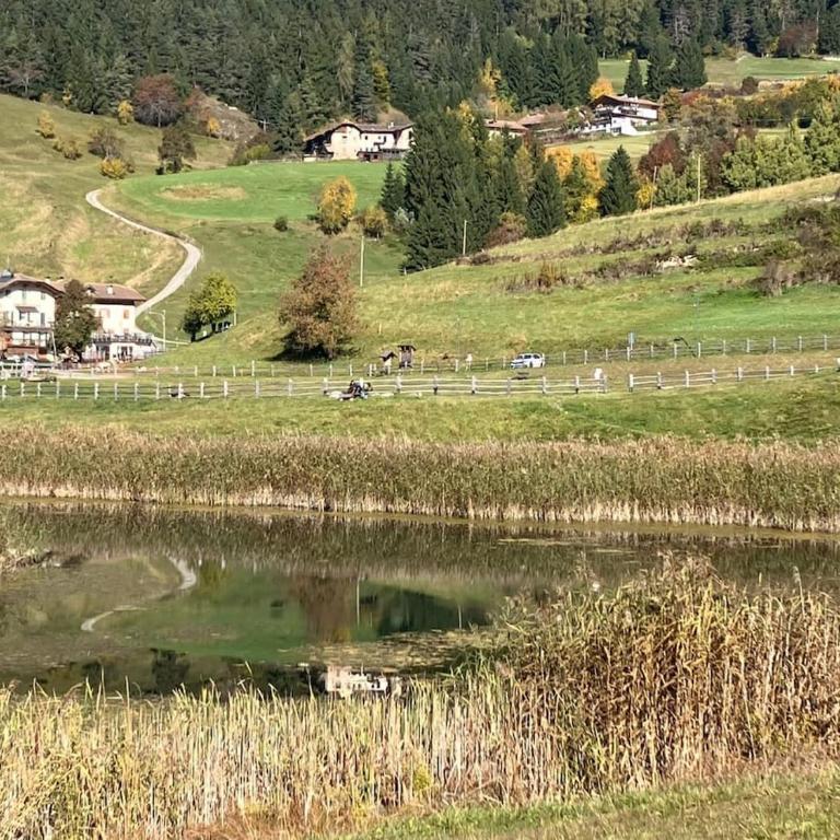 Casa Rita Brenta - Ruffrè-Mendola - Appartamento con 2 Camere da Letto - 29
