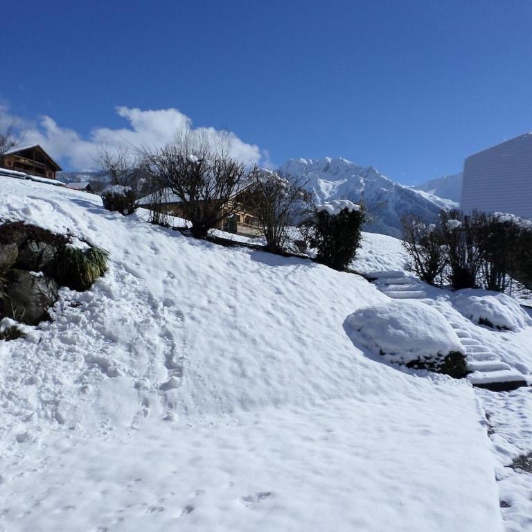 Rez de chalet "La Grange" - Appartement avec Vue sur la Montagne - 17
