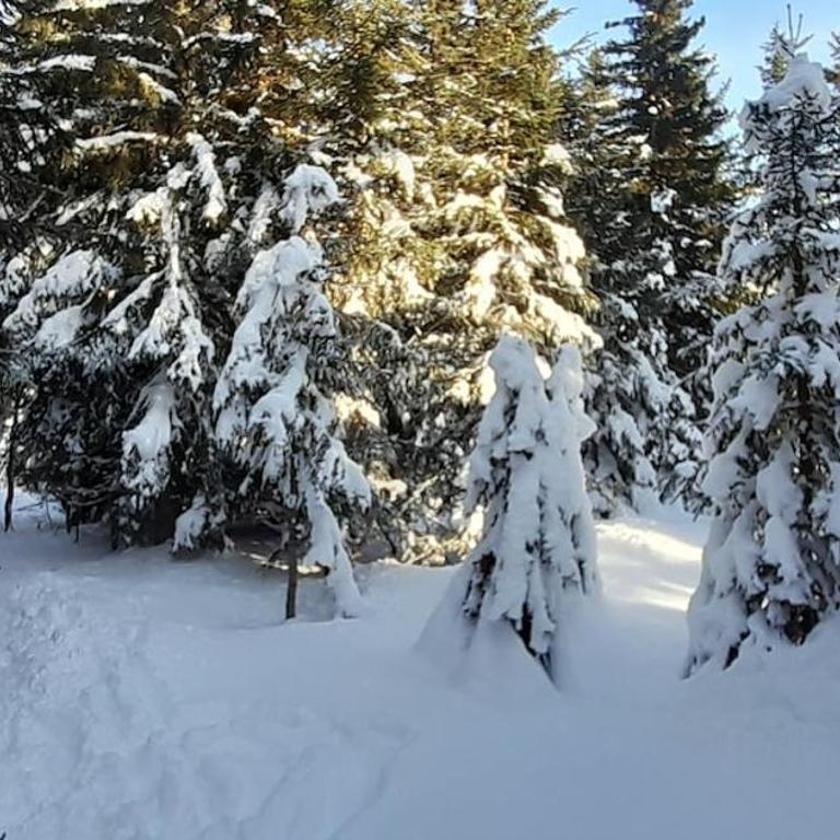 Rez de chalet "La Grange" - Appartement avec Vue sur la Montagne - 19