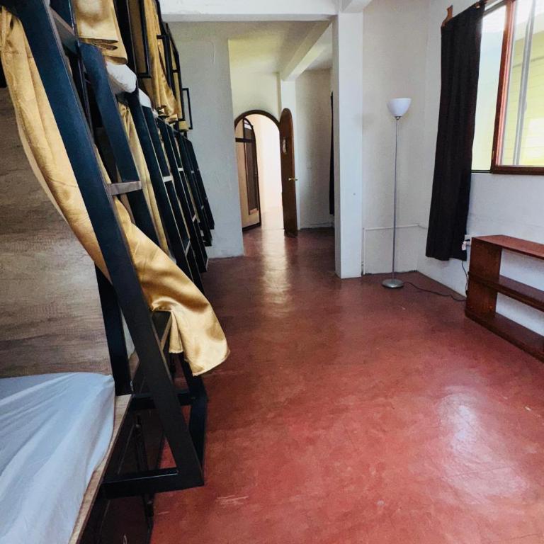 Leveli Coliving & Hostel Oaxaca - Single Bed in 10-Bed Dormitory Room - 2