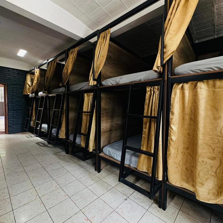 Leveli Coliving & Hostel Oaxaca - 12 Bed Mixed Capsule Dorm Room - 3