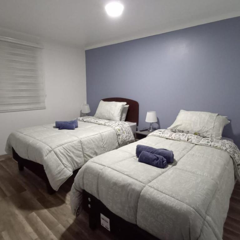 Hostal Milaris - Single Room - 4