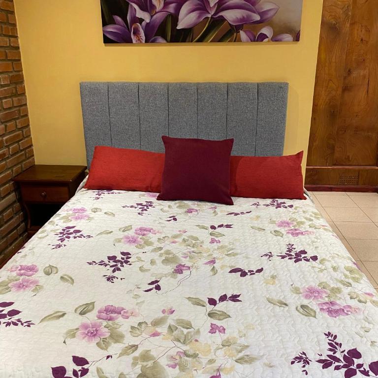 Complejo Pasos Malos - Habitación Doble Estándar con ventilador - 23