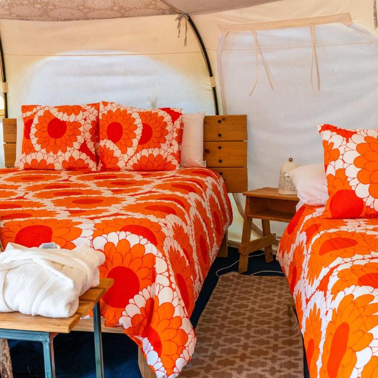 La Colmena Glamping Zangano - Tent - 5