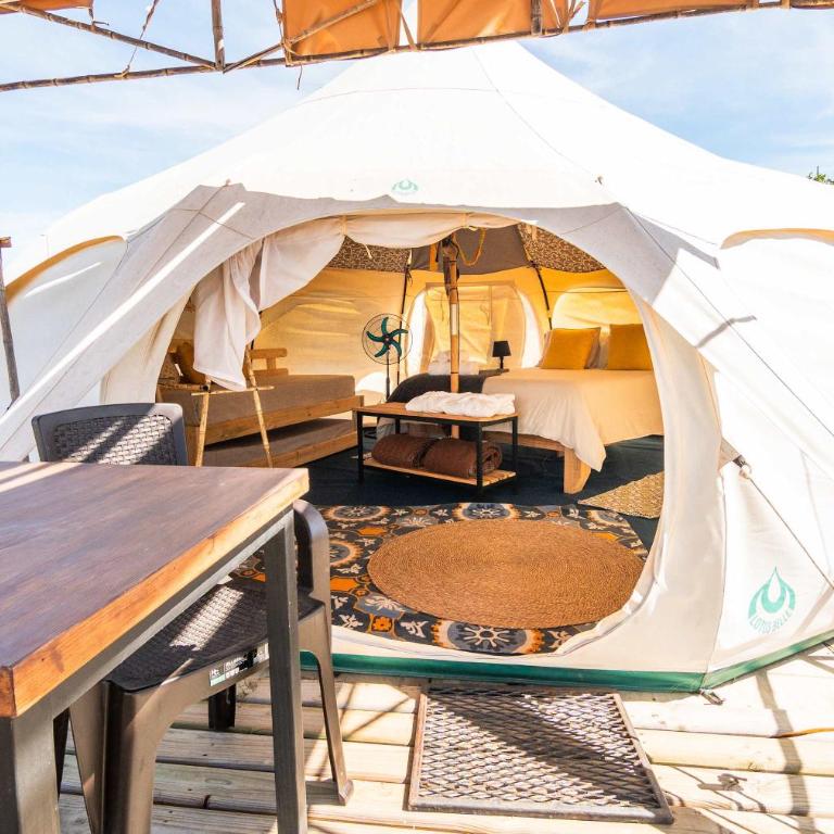 Picaflor - Tent - 1