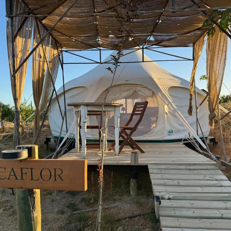 Picaflor - Tent - 4