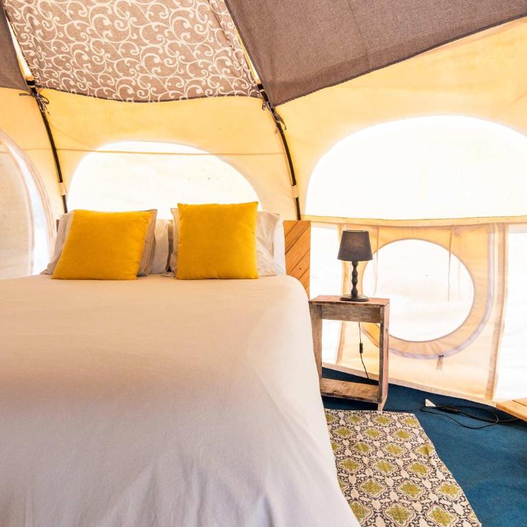 Picaflor - Tent - 5
