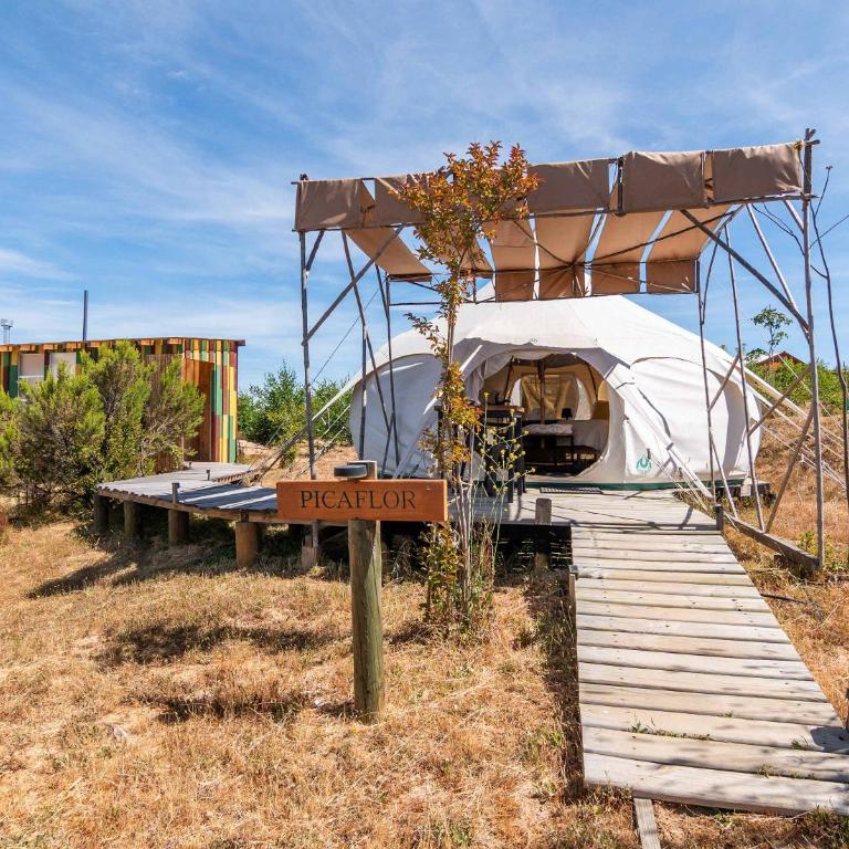 Picaflor - Tent - 3