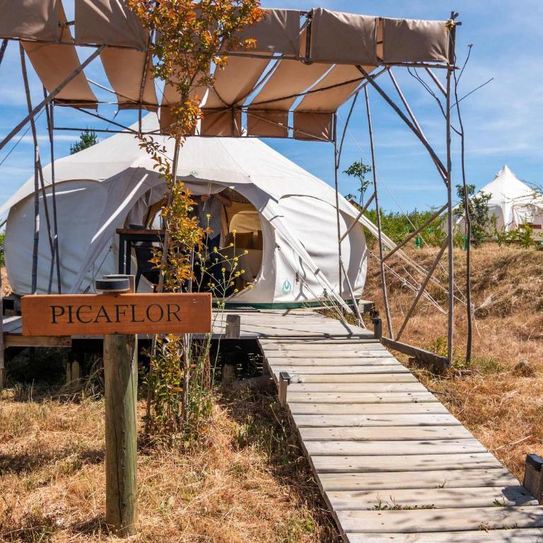 Picaflor - Tent - 7