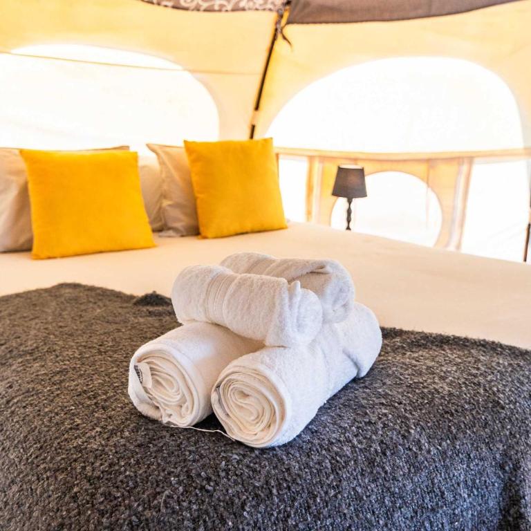 Picaflor - Tent - 13