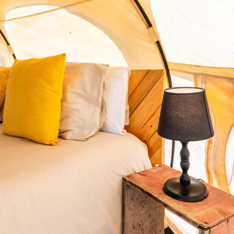 Picaflor - Tent - 16