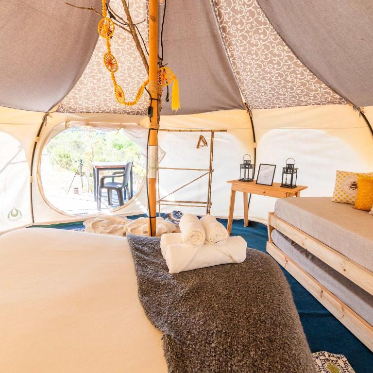Picaflor - Tent - 21