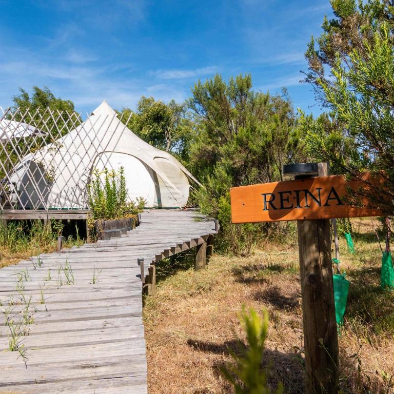 La Colmena Glamping Reina - Apartment - 1