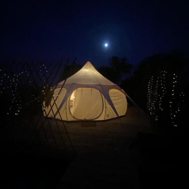 La Colmena Glamping Reina - Apartment - 5