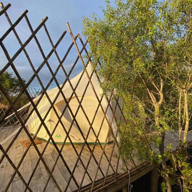 La Colmena Glamping Reina - Apartment - 8