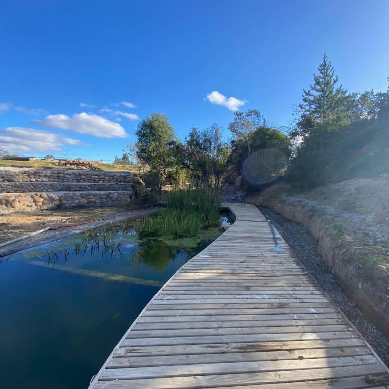 La Colmena Glamping Obrera - Tent - 17