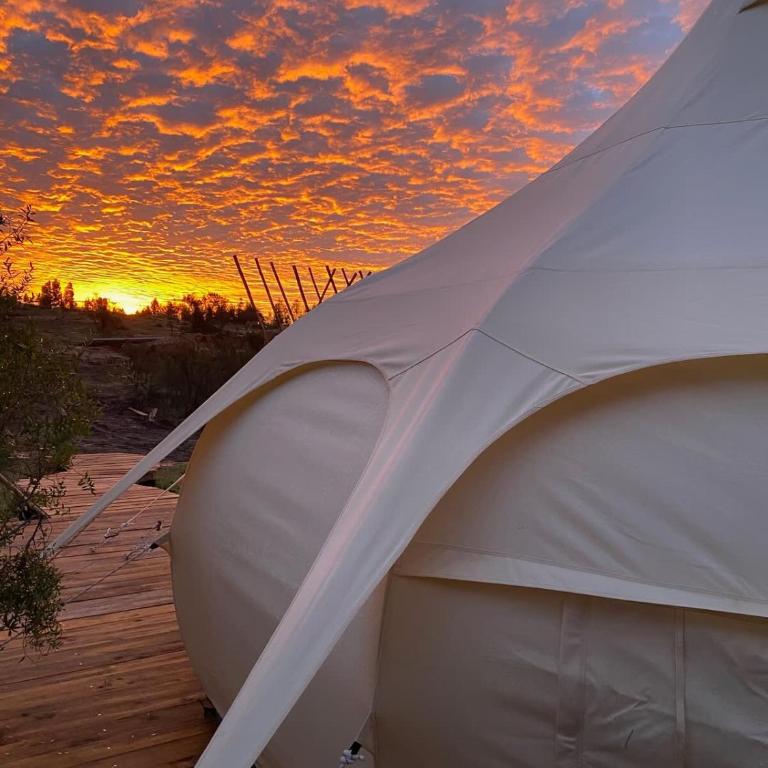 La Colmena Glamping Obrera - Tent - 19