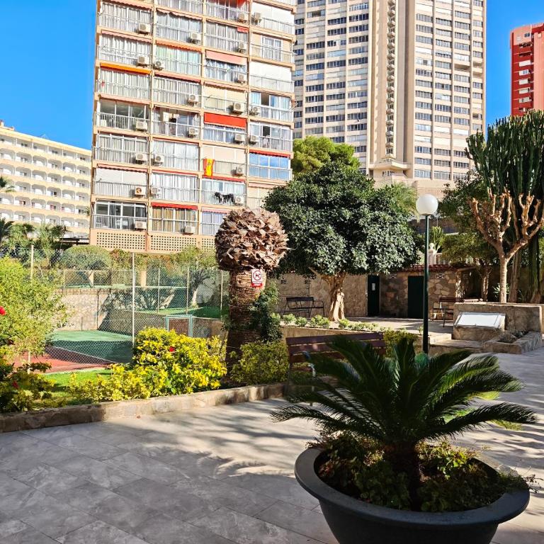 Full Sea View Benidorm - Apartamento de 1 dormitorio - 17