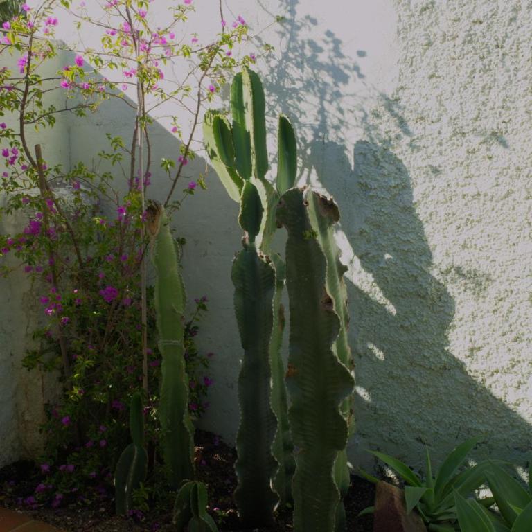 Authentic Andalusian Boho Villa - Pool - Garden-BBQ- 7 Guests - Villa de 3 dormitorios - 50