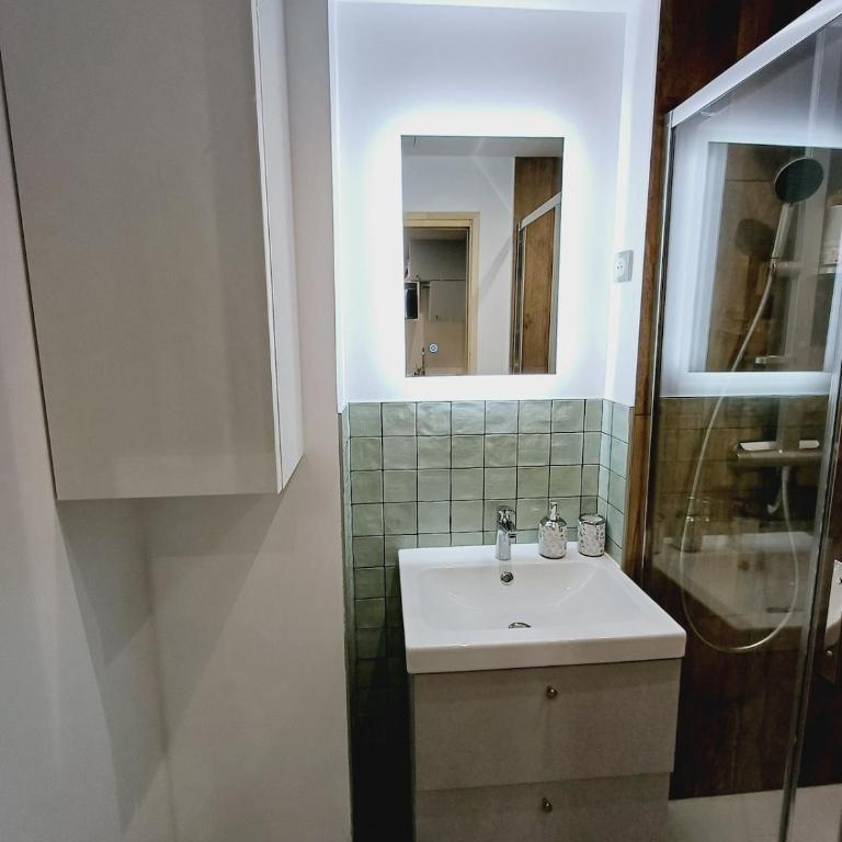 Escale au Nord - Appartement 1 Chambre - 8