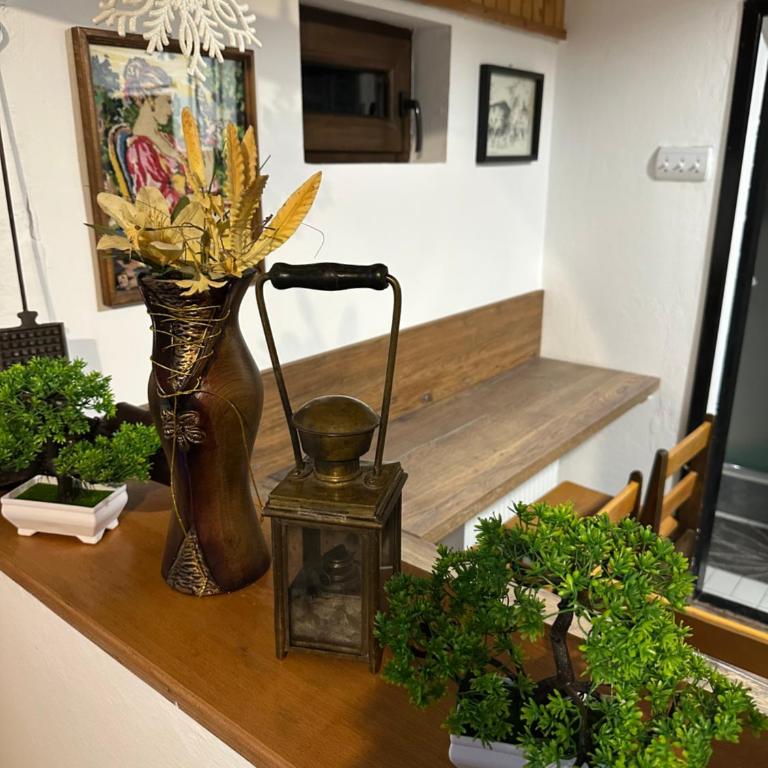 Vila Golden Queen Zlatibor - One-Bedroom House - 31