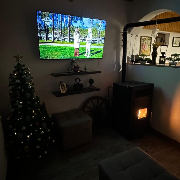 Vila Golden Queen Zlatibor - One-Bedroom House - 14