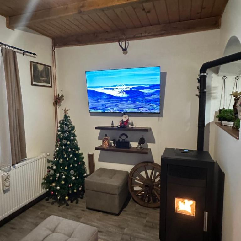 Vila Golden Queen Zlatibor - One-Bedroom House - 34