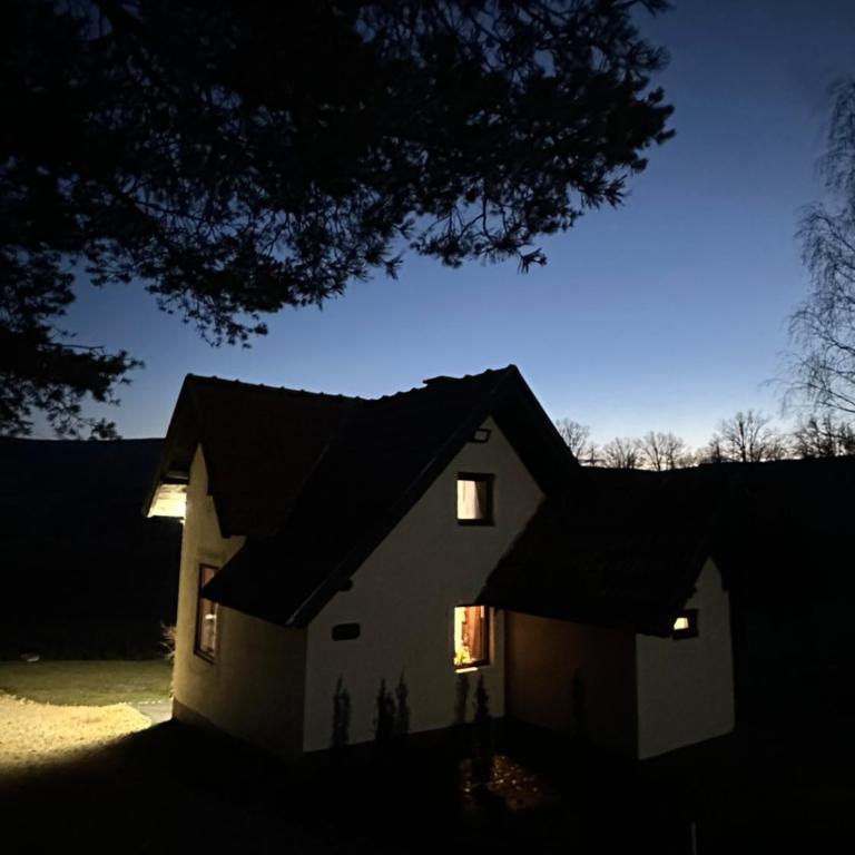 Vila Golden Queen Zlatibor - One-Bedroom House - 20