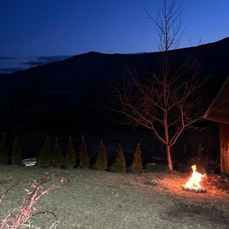 Vila Golden Queen Zlatibor - One-Bedroom House - 21