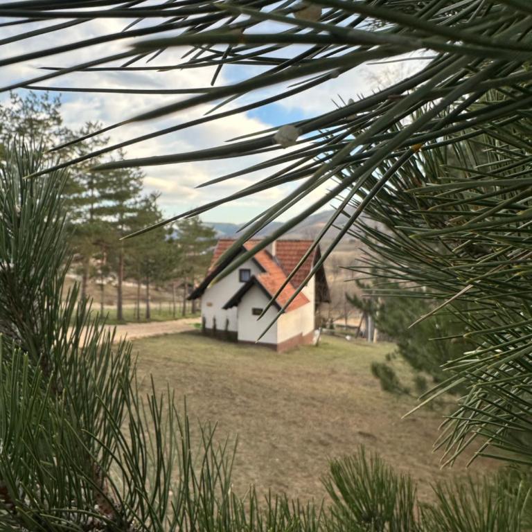 Vila Golden Queen Zlatibor - One-Bedroom House - 19