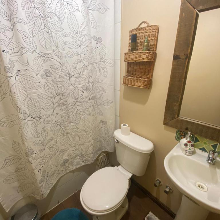 Refugio urbano - Casa de 3 dormitorios - 5