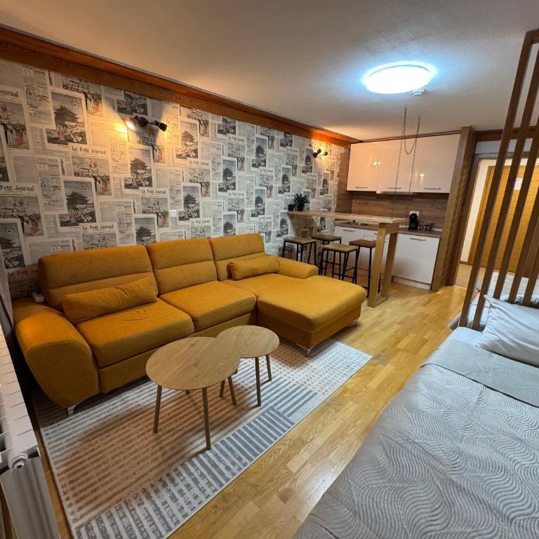 Apartment 122 - Aparthotel Vučko Jahorina - private host - Apartman sa 1 Spavaćom Sobom - 8