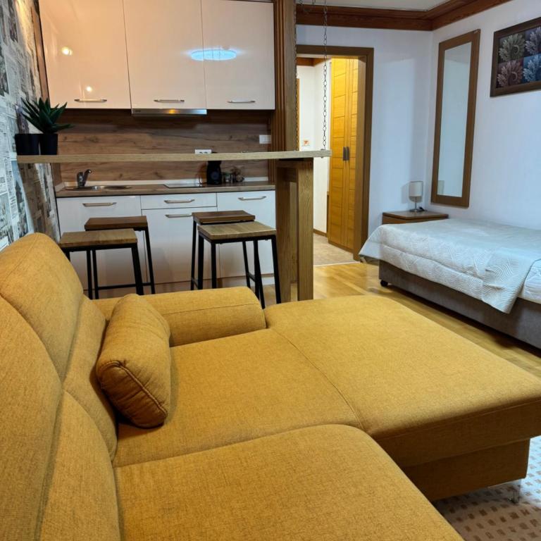 Apartment 122 - Aparthotel Vučko Jahorina - private host - Apartman sa 1 Spavaćom Sobom - 7