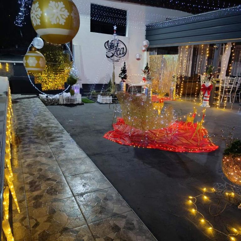 Villa Lea Tuzla - Vila - 57