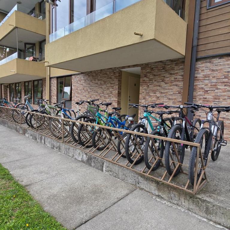 Hermoso departamento con vista directa al lago Villarrica - Apartamento de 3 dormitorios - 7