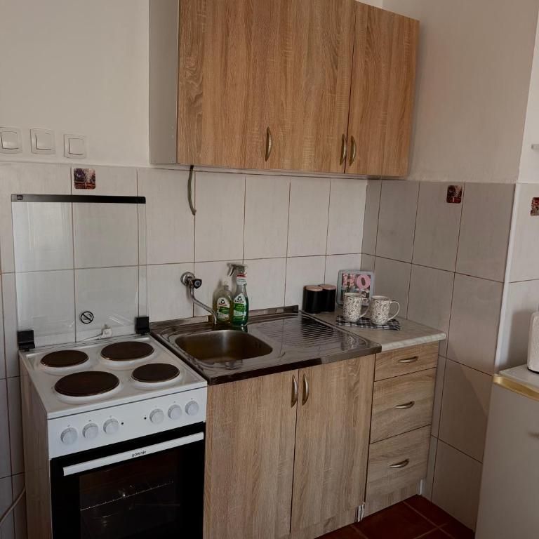 ApartmanPodgorica - Apartman sa 1 Spavaćom Sobom - 4
