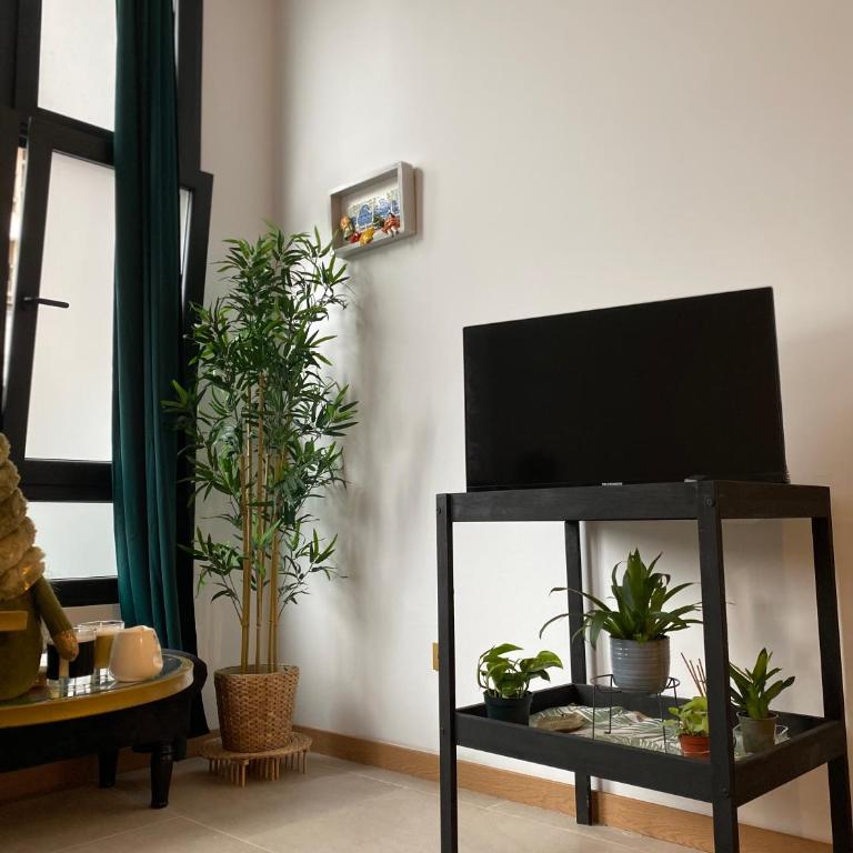 Castro Romano VUT 7712 AS - Apartamento de 1 dormitorio - 14