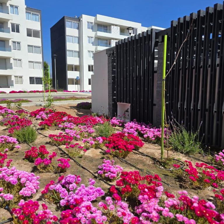Depto Mi refugio La Serena Beach 2D-1B - Two-Bedroom Apartment with Pool View - 55