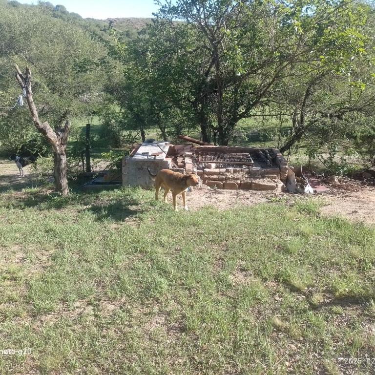 CASA ANTONIO-sobre el rio - Chalet de 2 dormitorios - 17